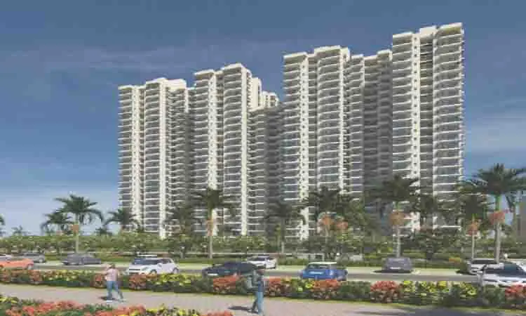 4S Aster Avenue 36