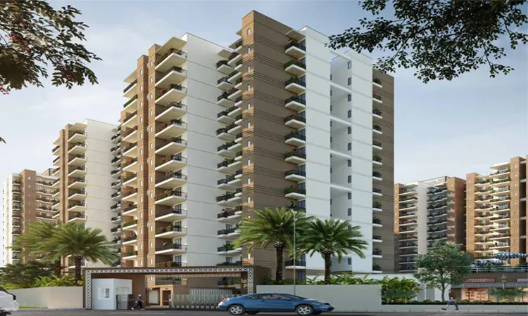 Conscient Habitat Prime 99A