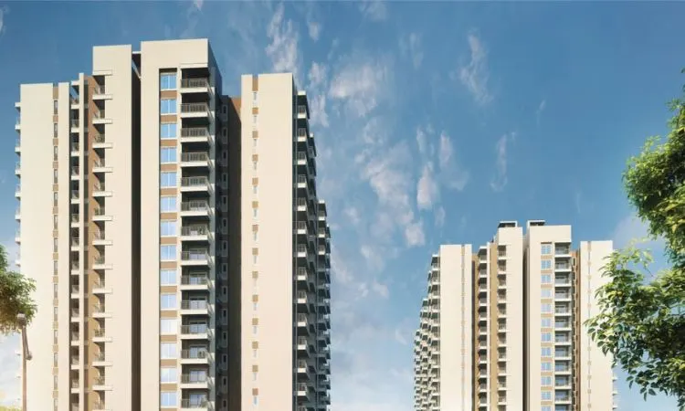 GLS Avenue 81