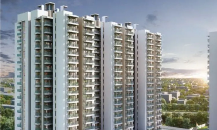 GLS Avenue 81