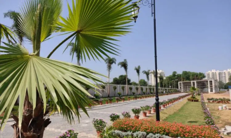 Golden Park Plots