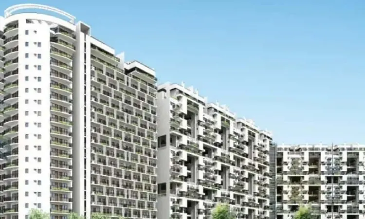 ILD Grand 37C