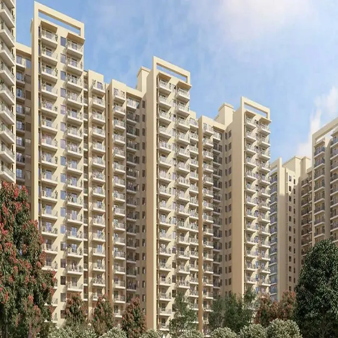 Rising Homes
