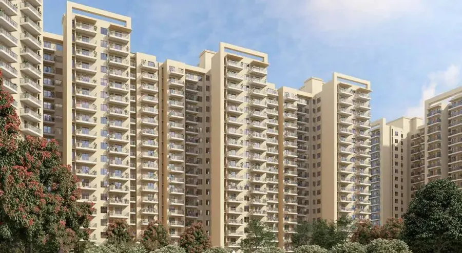 Rising Homes
