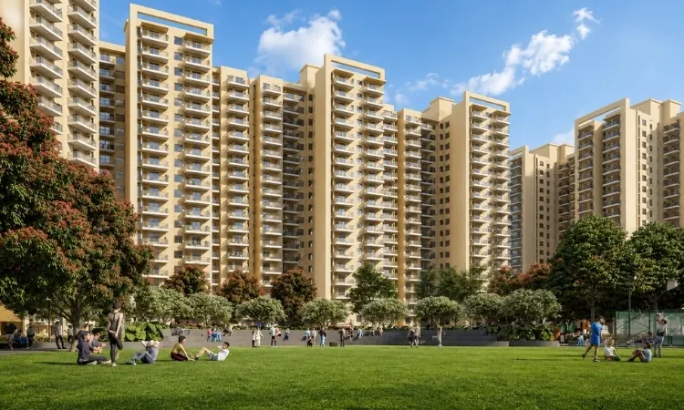 Rising Homes