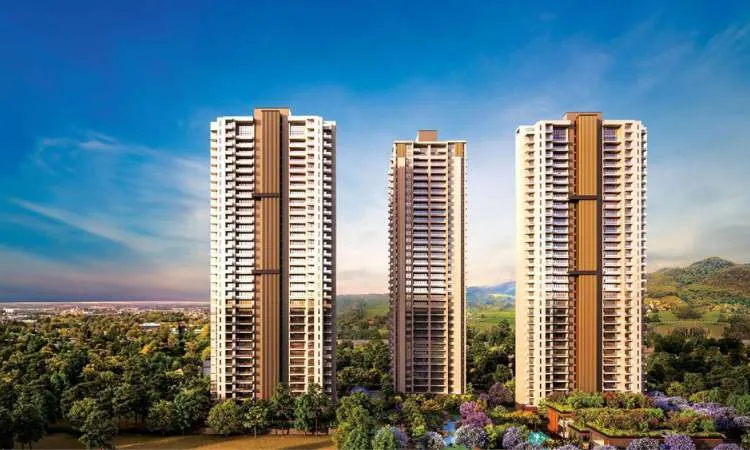 Silverglades The Legacy