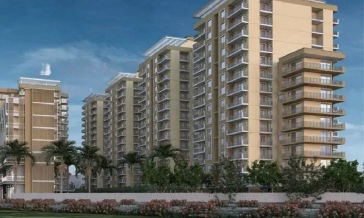 Yashika Green Square